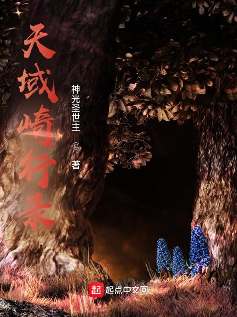 天域崎行录
