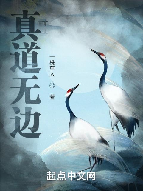 真道无边