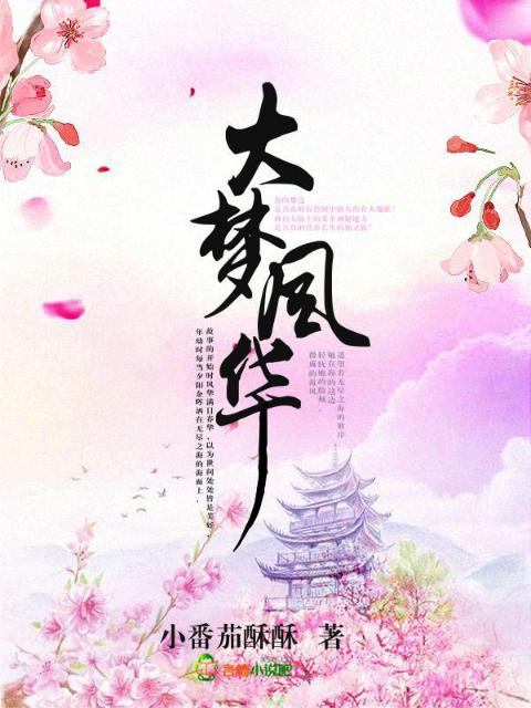 大梦风华