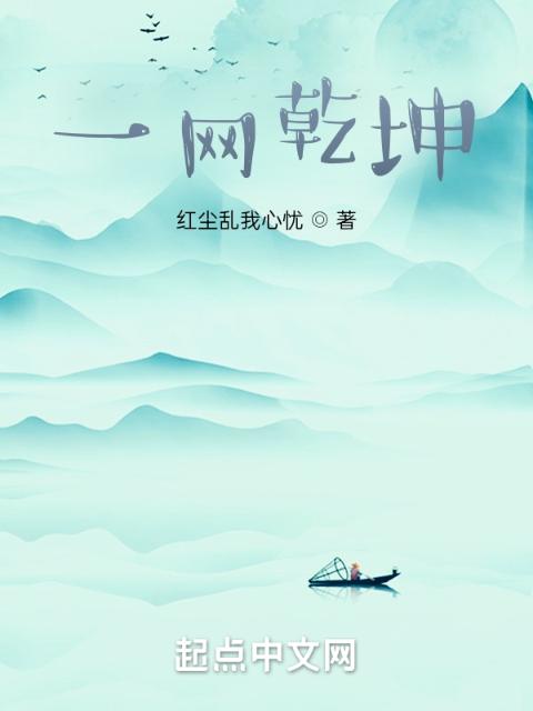 一网乾坤