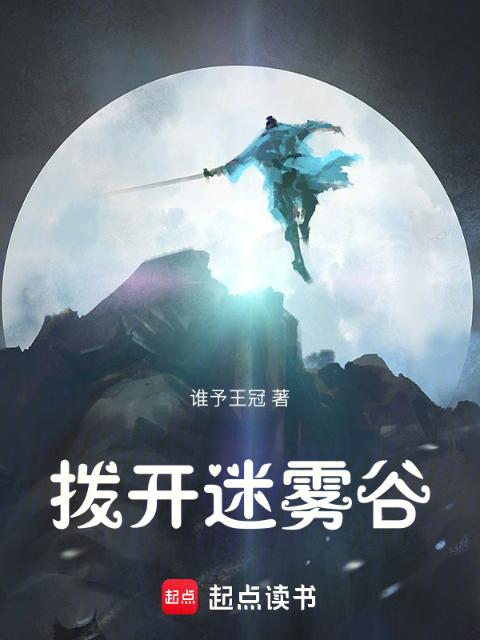 拨开迷雾谷