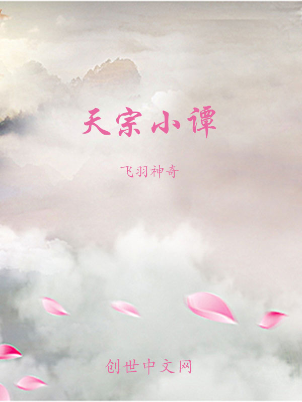 天宗小谭
