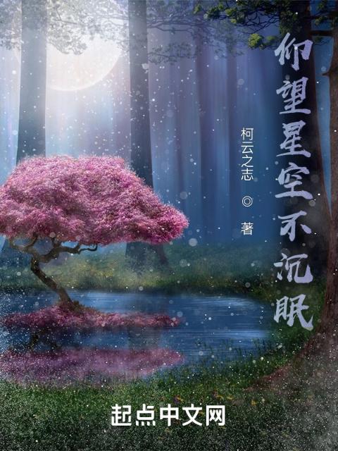 仰望星空不沉眠