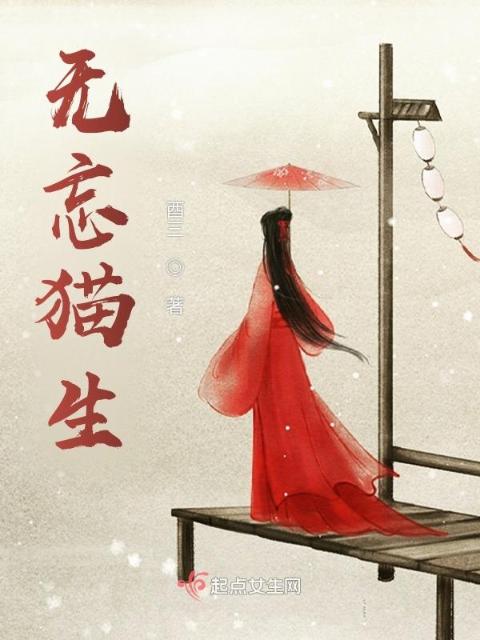无忘猫生