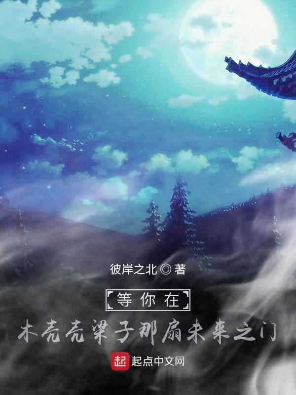等你在木壳壳梁子那扇未来之门