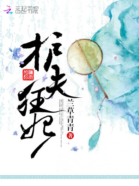 护夫狂妃