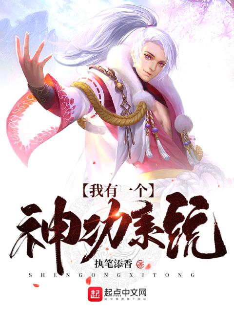 我有一个神功系统