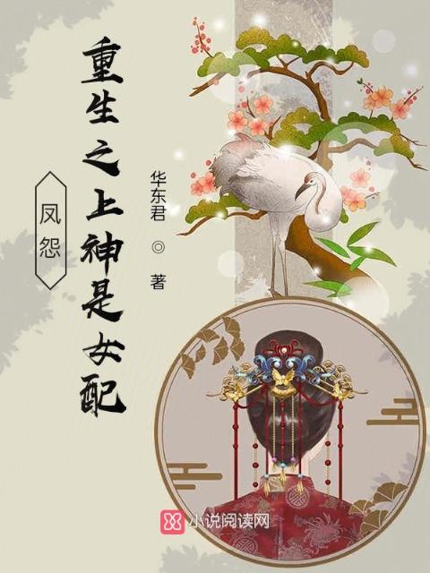 凤怨：重生之上神是女配