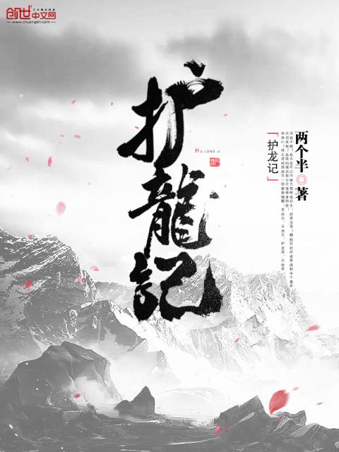 护龙记