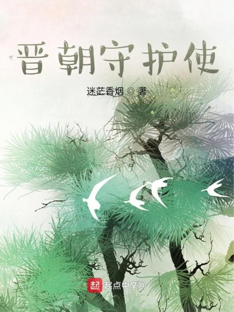 晋朝守护使