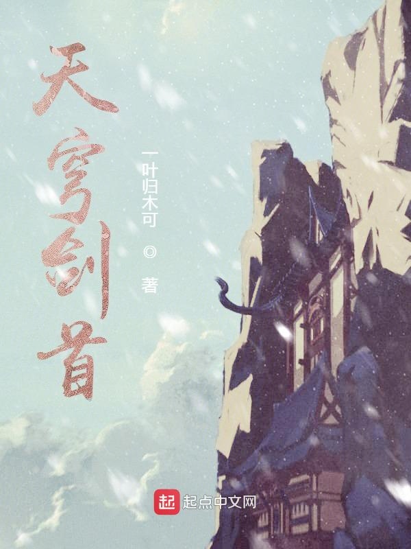 综合一区中