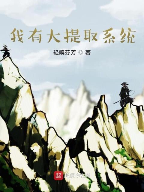 我有大提取系统