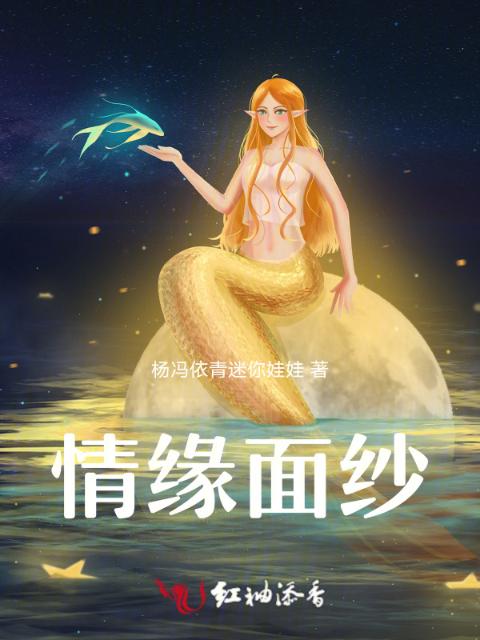 情缘面纱