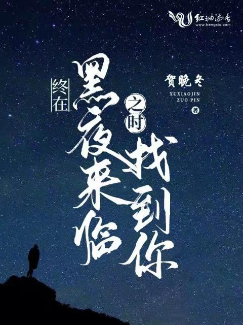 终在黑夜来临之时找到你
