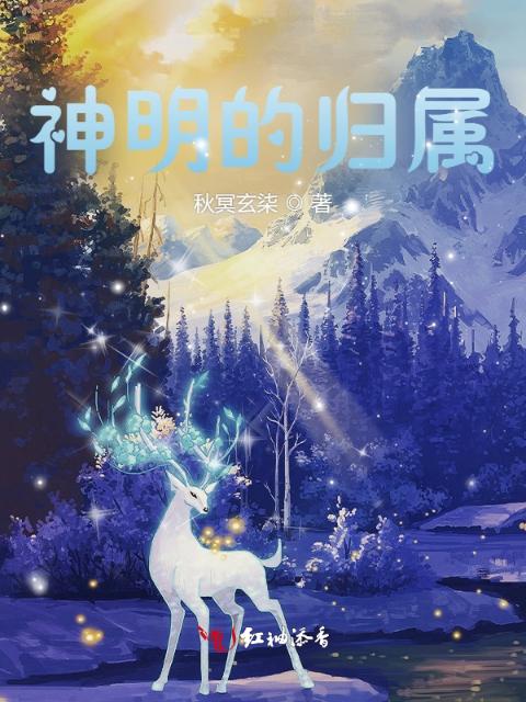 NPC 是什么意思