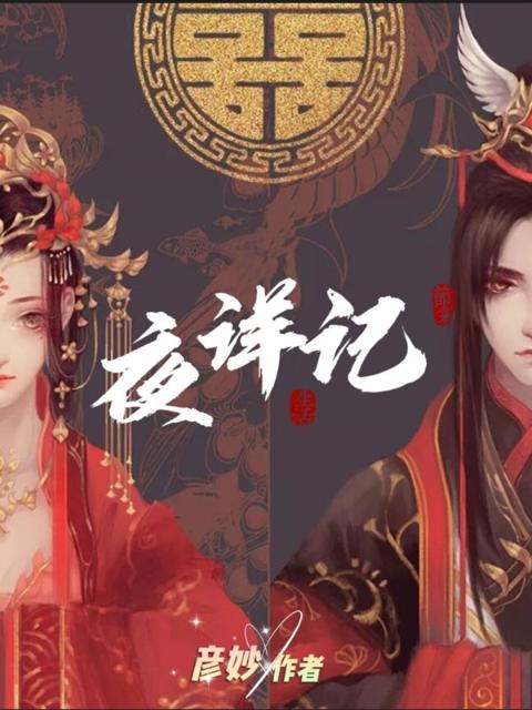 夜详记