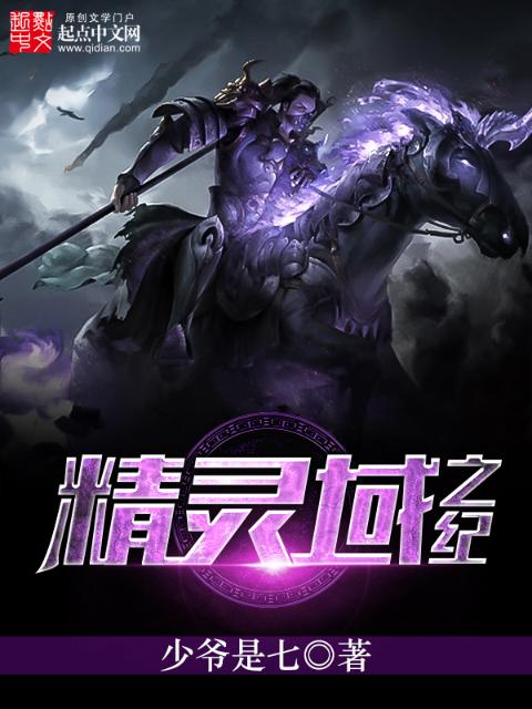 精灵域之纪