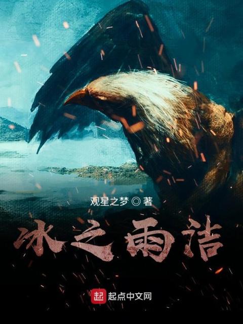 冰之雨洁