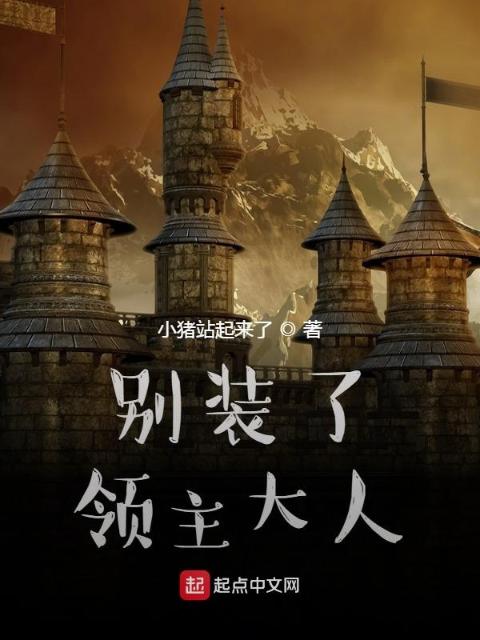 别装了，领主大人