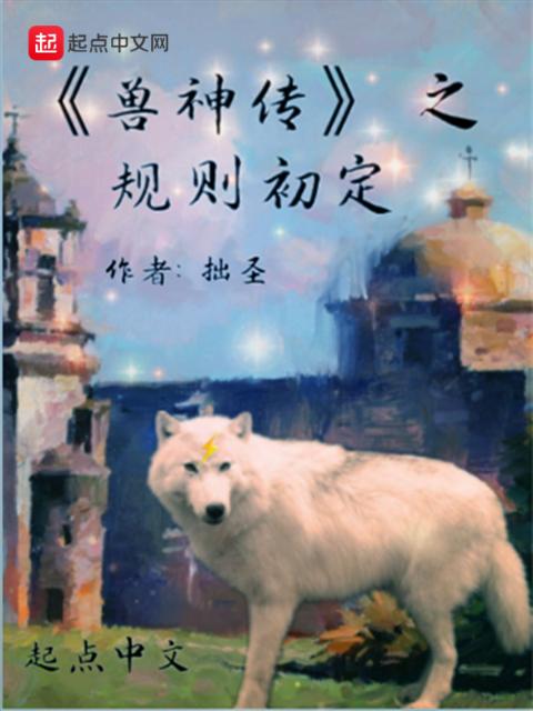 兽神传之规则初定