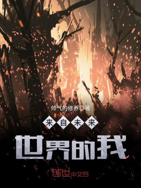 来自未来世界的我