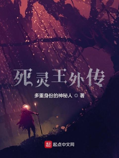 死灵王外传