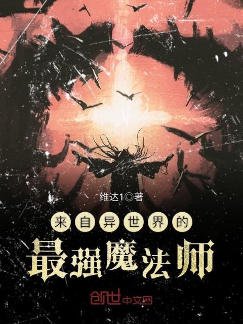 来自异世界的最强魔法师