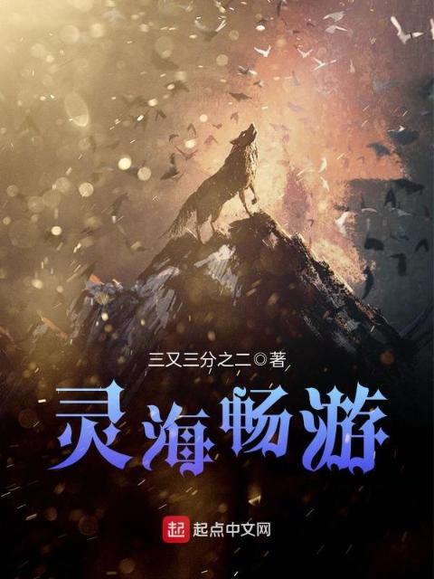 灵海畅游