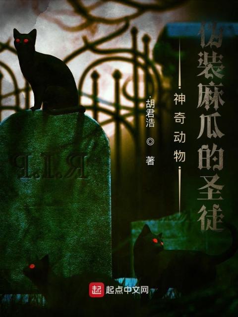 神奇动物：伪装麻瓜的圣徒