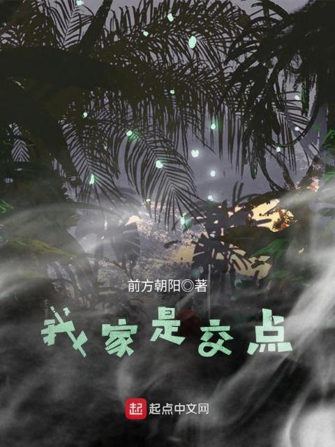 我家是交点