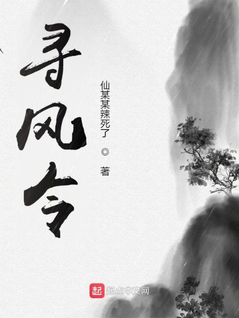 寻风令