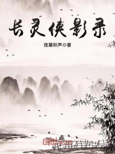 长灵侠影录