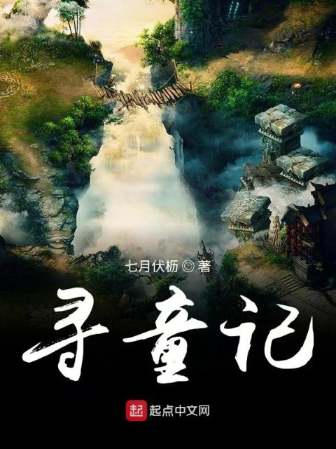 寻童记