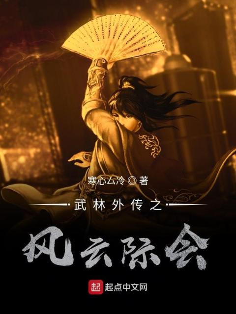 武林外传之风云