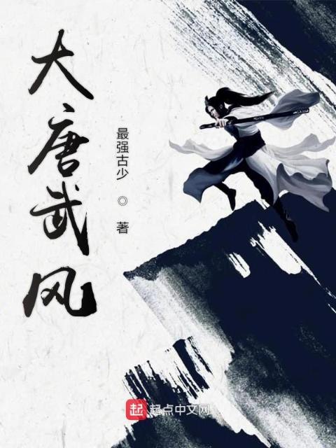 大唐武风