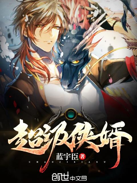 超级侠婿