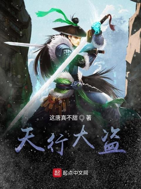 天行大盗