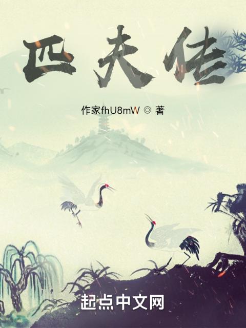 匹夫传