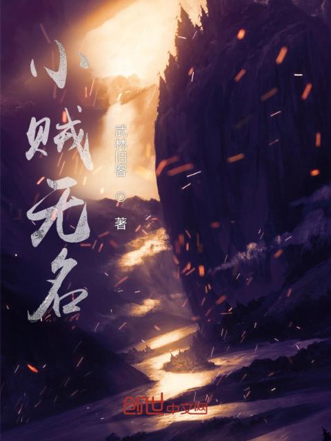 小贼无名