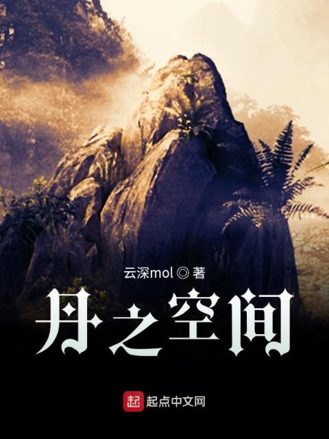 丹之空间