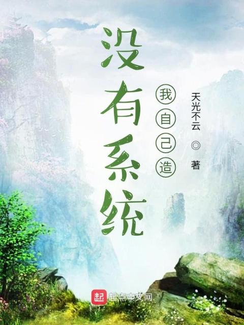 没有系统我自己造