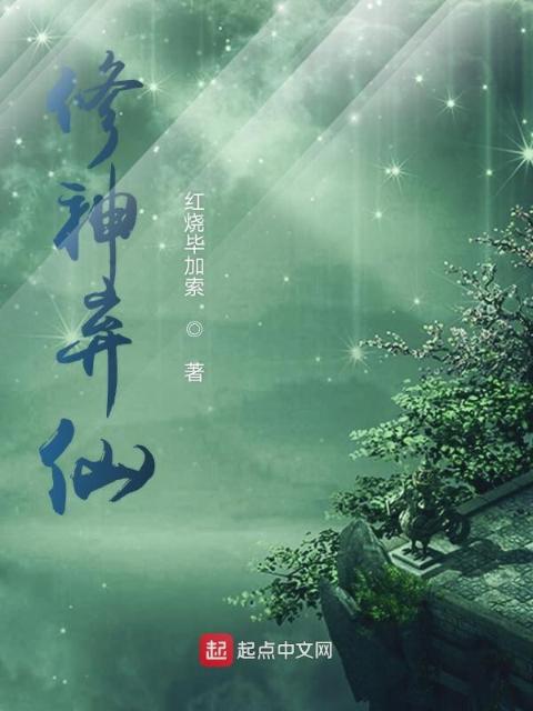 真人版乱马1/2