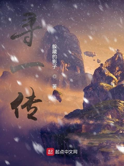 寻一传