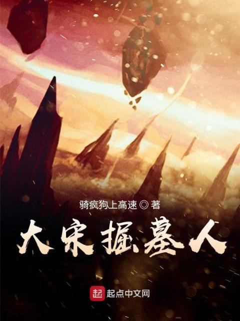 大宋掘墓人