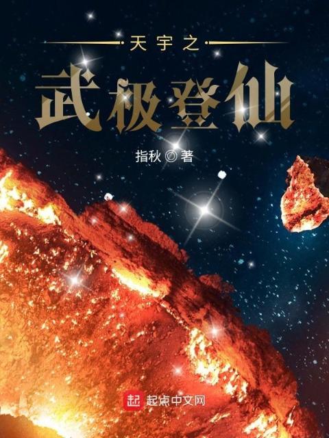 天宇之武极登仙