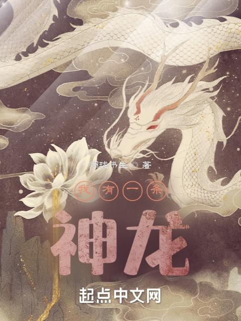 我有一条神龙