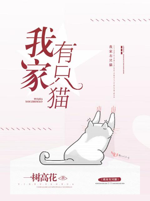 我家有只猫