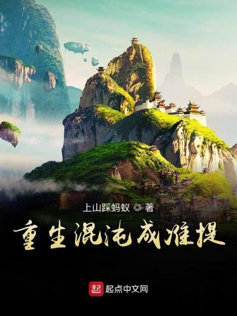 重生混沌成准提