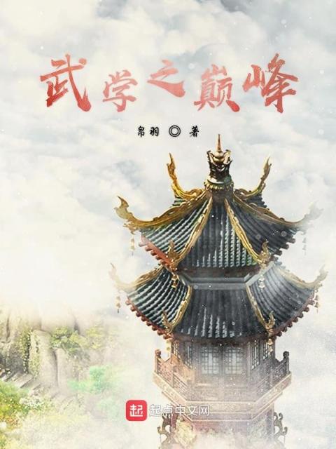 武学之巅峰