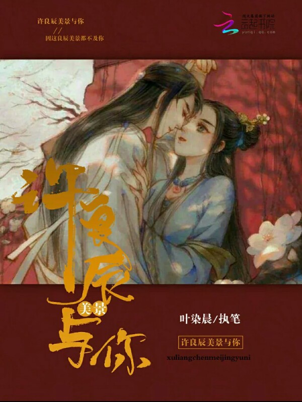 许良辰美景于你